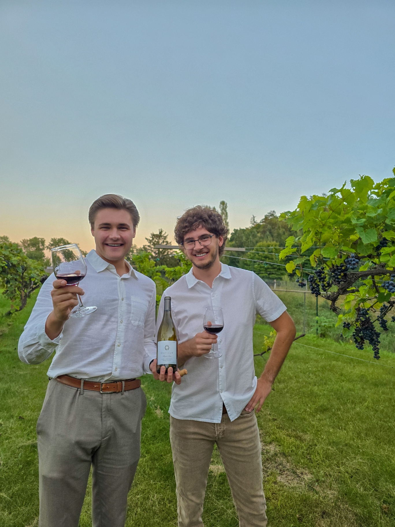 A Glass Act – Black Box Sauvignon Blanc