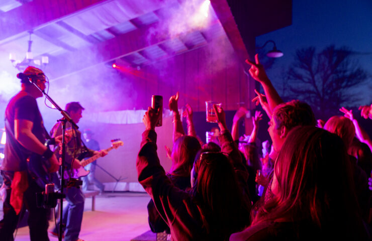 Pinestock returns for year two