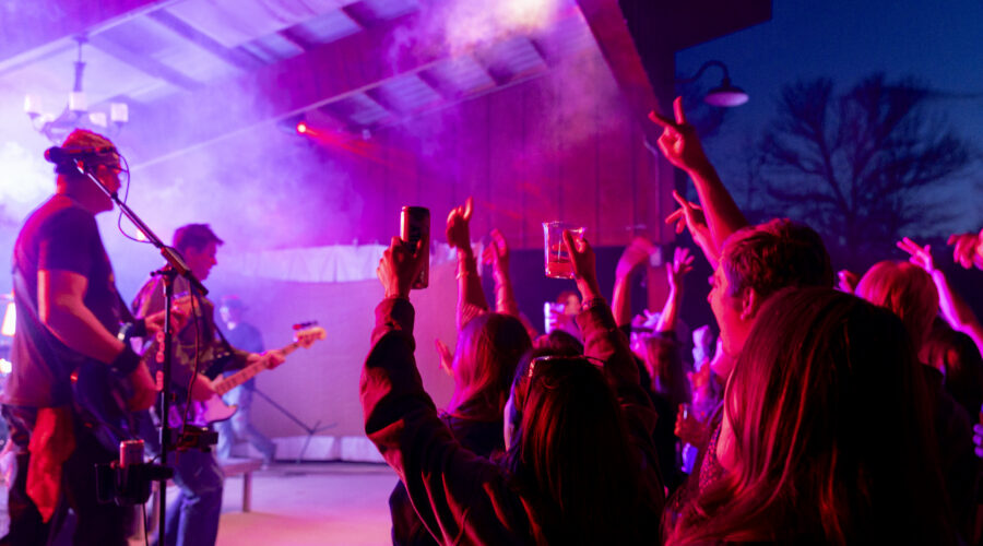 Pinestock returns for year two